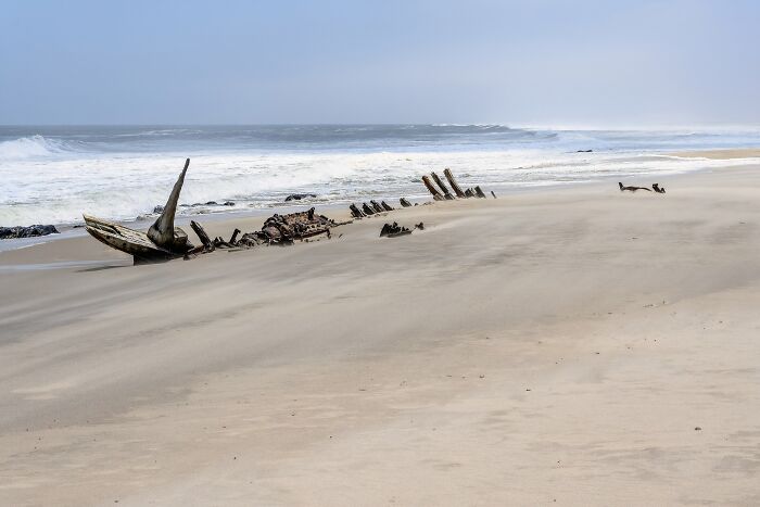 Skeleton Coast, Namibia