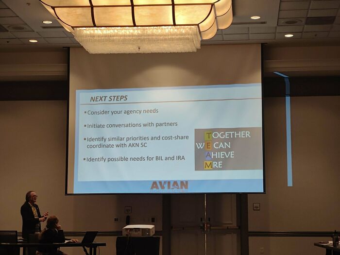 Trying to Be a Team... And Then Not Quite