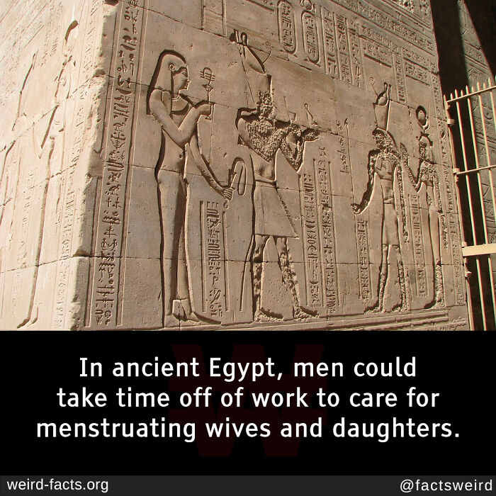 The 50 Wildest Facts You'll Forget and Then Remember at the Worst Times