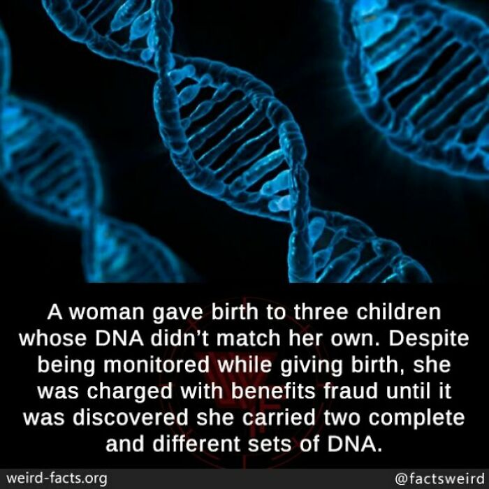 The 50 Wildest Facts You'll Forget and Then Remember at the Worst Times