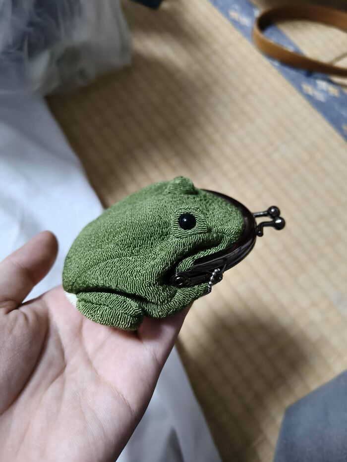 Frog Coin Purse? Yes, Please!