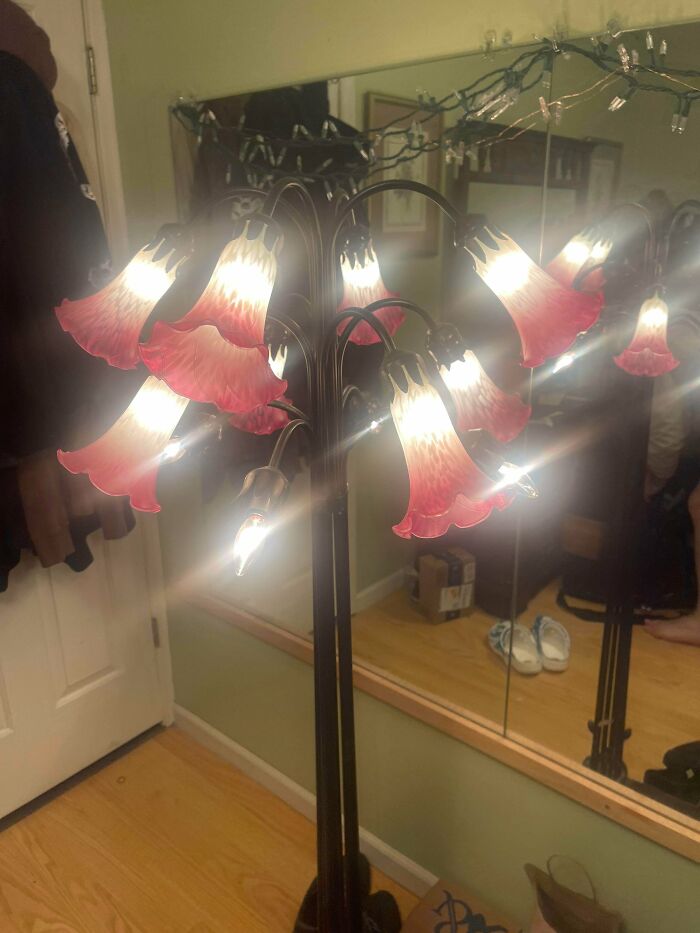 Found My Dream Lamp (Roadside Bonus!)