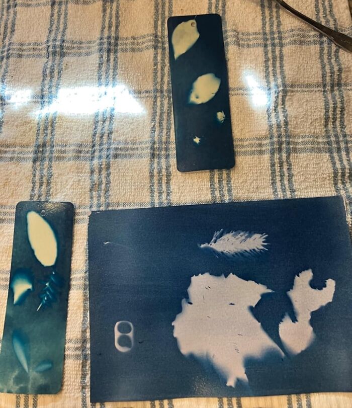 Sun-Powered Art? Yes Please! The Cyanotype Kit For Dreamy Blue Prints