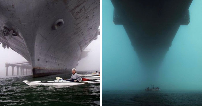 Wait, Are These Huge Things Freaking You Out?