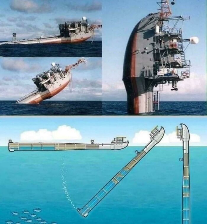 Does This Count As Giant? Asking For A Friend