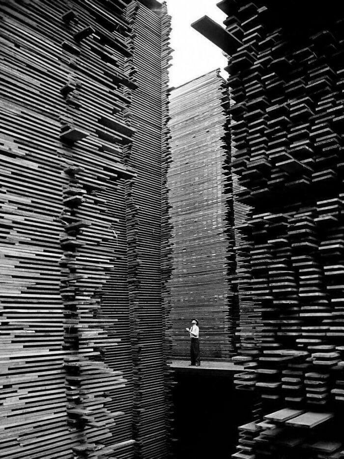 Man In A Lumberyard That Seriously Shows Scale