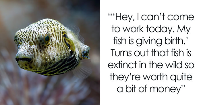 The Wildest Real Excuses People Gave For Missing Work (No Joke!)