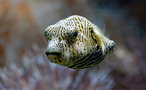 The Wildest Real Excuses People Gave For Missing Work (No Joke!)