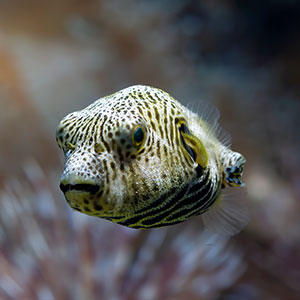 The Wildest Real Excuses People Gave For Missing Work (No Joke!)