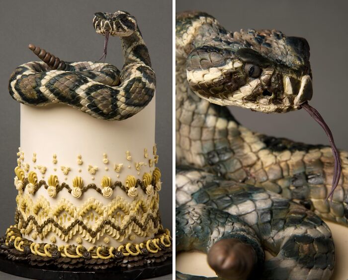 Snake Cake Alert! Honoring the Eastern Diamondback Rattlesnake in Style