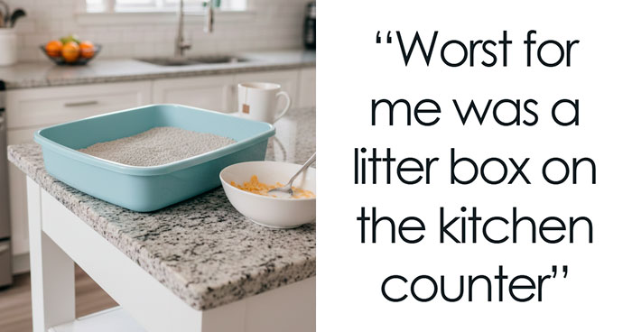 Inside Scoop: What People’s Homes Secretly Reveal (And Yep, It’s Juicy)