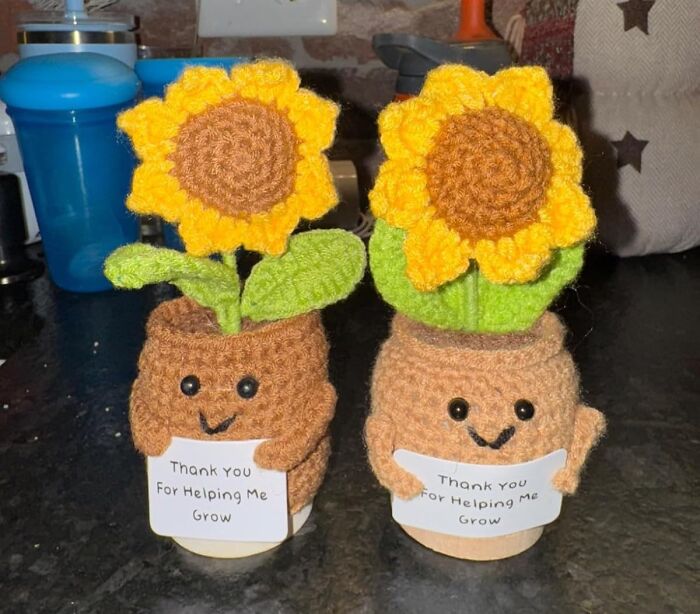 Meet The ‘Teacher’s Pet’—An Adorably Positive Crochet Sunflower Doll Who Never Needs Grading