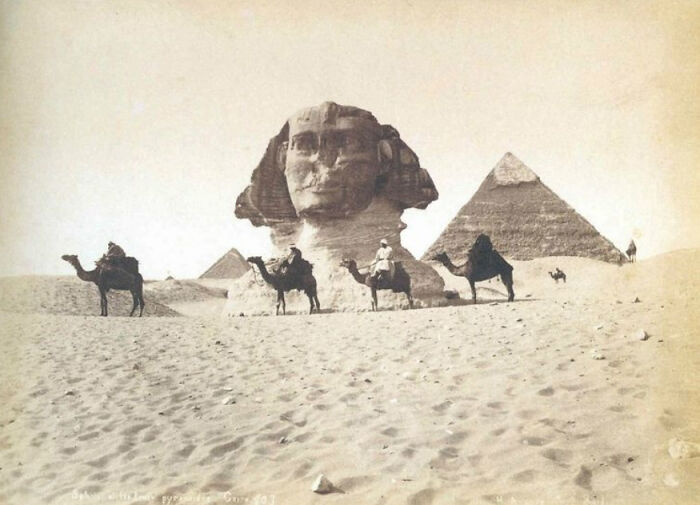 Vintage Vibes: The Sphinx Looking Majestic Around 1849