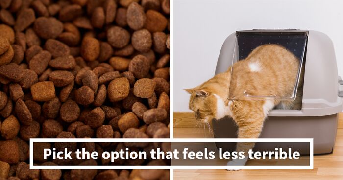 30 Would You Rather Questions That’ll Totally Mess With Your Brain