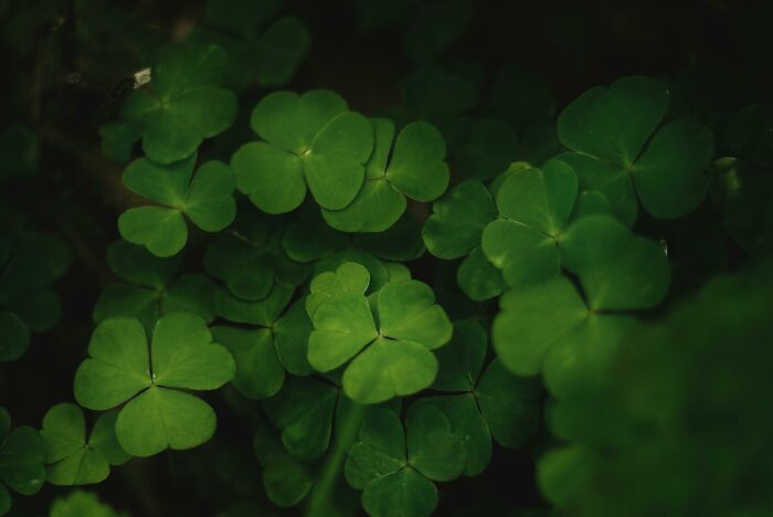 Be unlucky but smart, or lucky but not so bright?