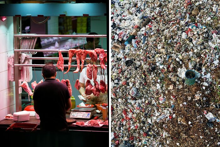 Spend an hour in a slaughterhouse or a whole day in a garbage dump?
