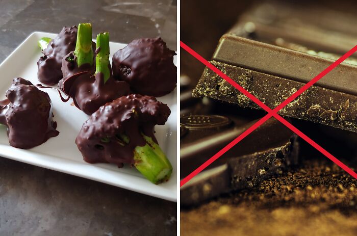Eat chocolate-covered broccoli every meal or never taste chocolate again?