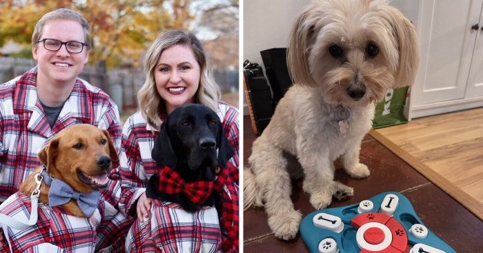 27 Pet Gifts That’ll Have Your Fur Baby Feeling Like Royalty