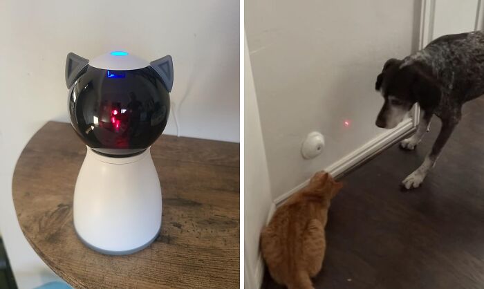 This Motion Detection Cat Laser Is Your Cat’s New Obsession (And Energy Burner Extraordinaire!)