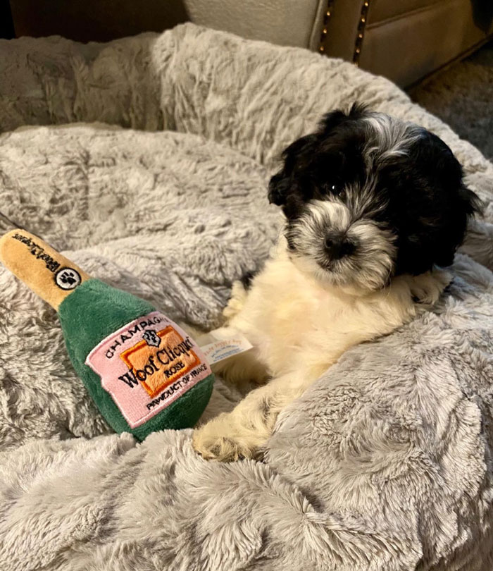Plush Bottle Of Champagne Toy To Pop Off The New Year In Style