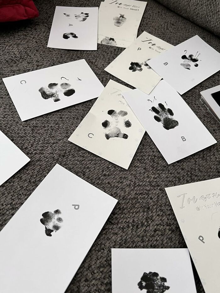 Inkless Paw Print Kit: Capture Your Pet’s Signature Paw-sonality Mess-Free