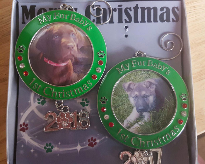 Photo Ornament To Celebrate Your Pet’s Very First Holiday (Aww!)
