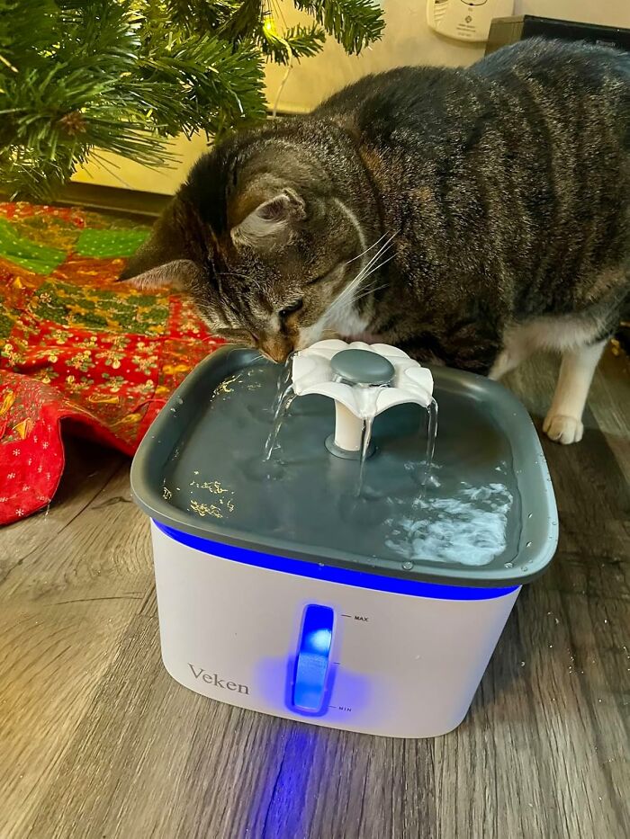 Automatic Water Fountain: Because Even Cats Need Fancy Hydration