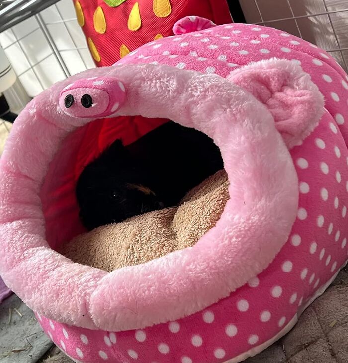 Plush Bed For Hamster Or Tiny Furry Pet: Small But Oh-So Cozy