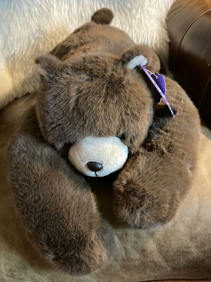 Weighted Stuffed Brown Bear That Gives You All The Cuddle Vibes