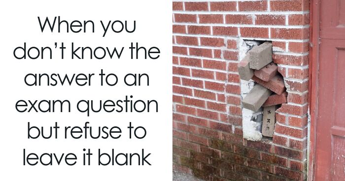 Let’s Rank These 50 College Memes That’ll Make You Laugh (and Maybe Cry a Little)