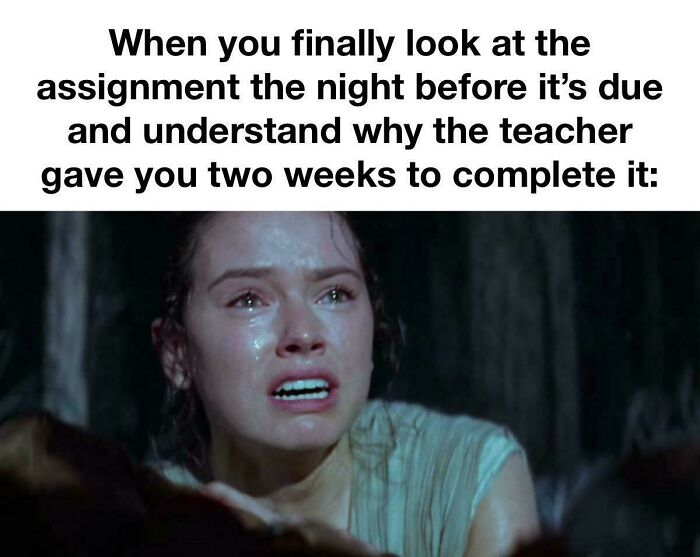 Let's Rank These 50 College Memes That’ll Make You Laugh (and Maybe Cry a Little)