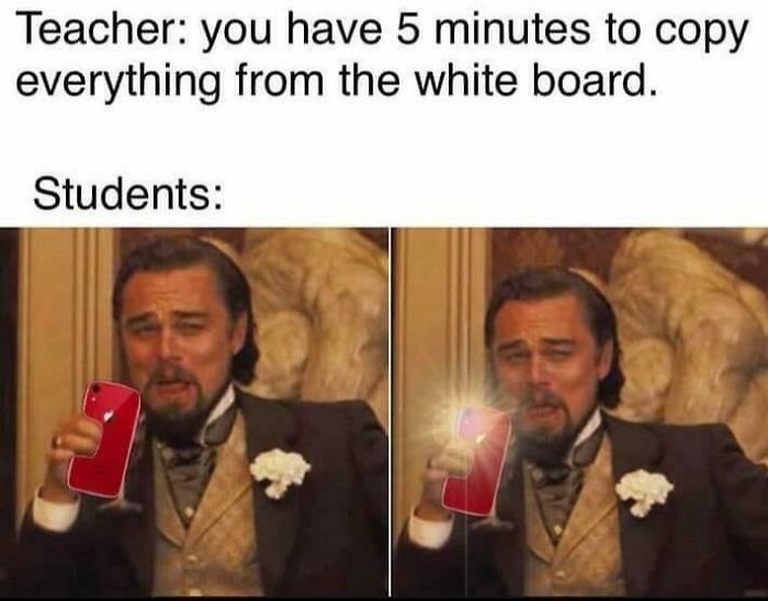 Let's Rank These 50 College Memes That’ll Make You Laugh (and Maybe Cry a Little)
