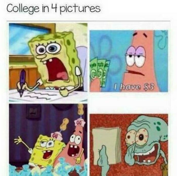 Let's Rank These 50 College Memes That’ll Make You Laugh (and Maybe Cry a Little)