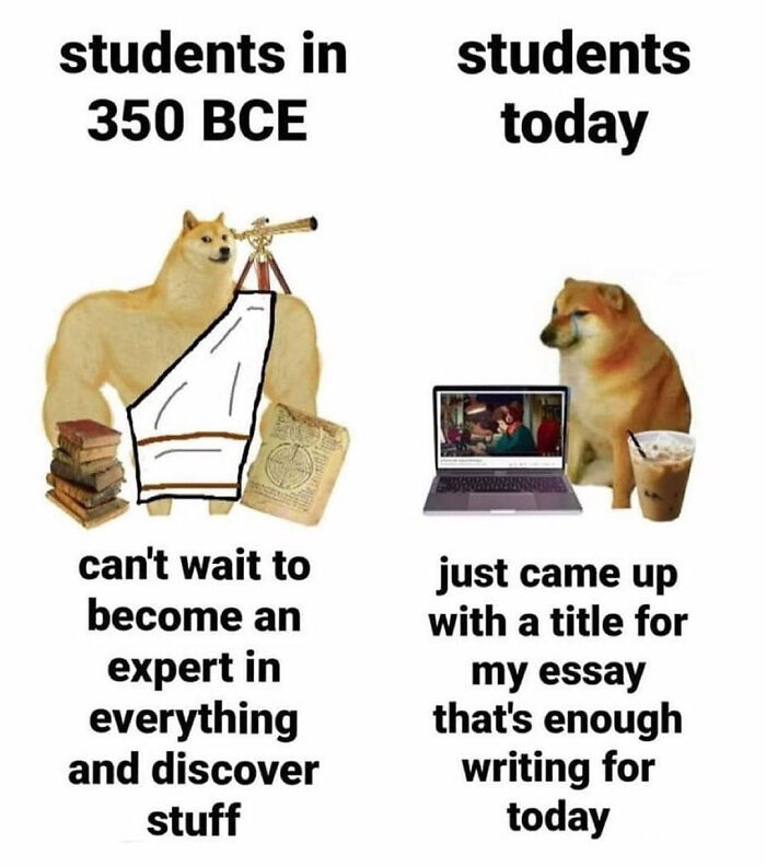 Let's Rank These 50 College Memes That’ll Make You Laugh (and Maybe Cry a Little)