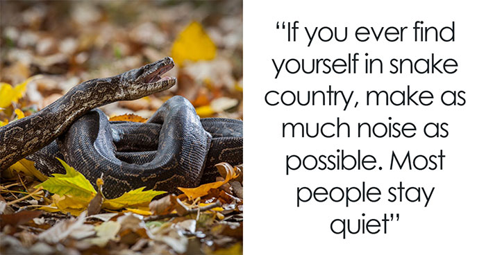 Wild Survival Myths That Actually Might Get You Toasted