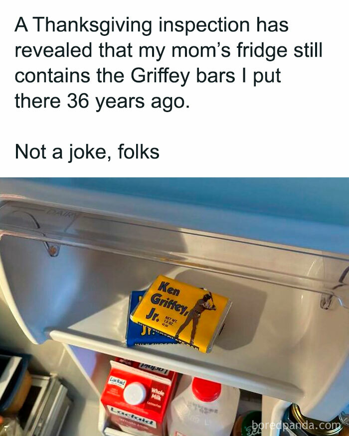 Wait, They Actually Ranked These Hilarious 'Dude Fridges'?