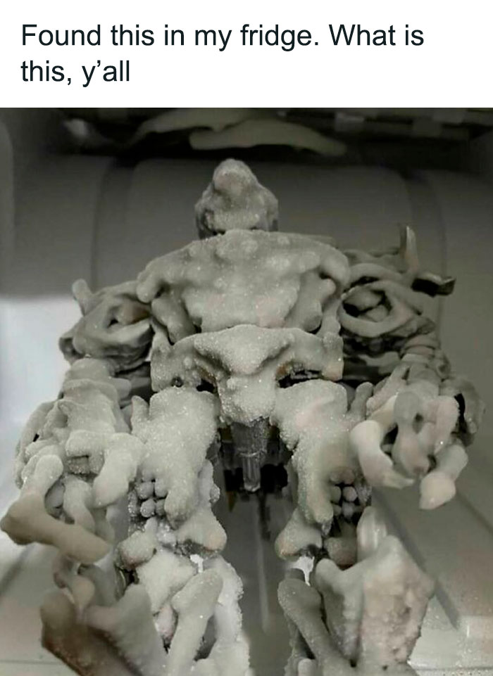 Wait, They Actually Ranked These Hilarious 'Dude Fridges'?