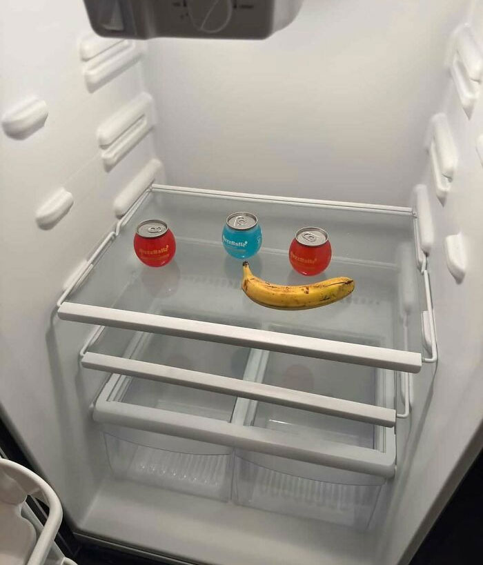 Wait, They Actually Ranked These Hilarious 'Dude Fridges'?