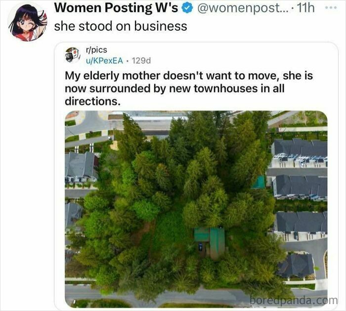 Need a Pick-Me-Up? These 67 Wholesome Memes Will Totally Make Your Day