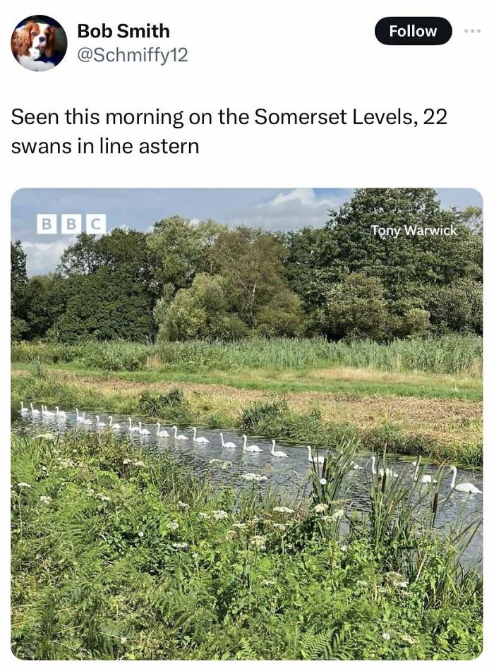 Need a Pick-Me-Up? These 67 Wholesome Memes Will Totally Make Your Day