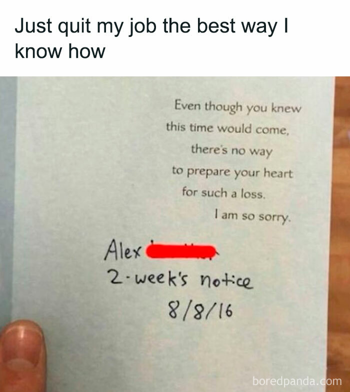 Need a Pick-Me-Up? These 67 Wholesome Memes Will Totally Make Your Day