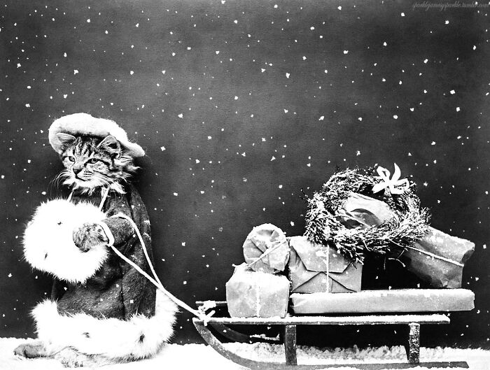 Whoa, Check Out These 50 Stunning Old Photos That Totally Capture Life’s Vibes Back Then!