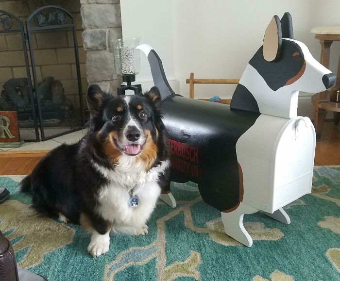 Corgi Mailbox And The Pup That Inspired It