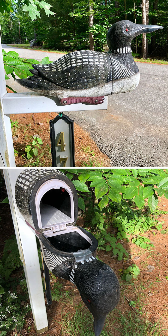 Loon Mailbox: Where Curb Appeal Takes Flight