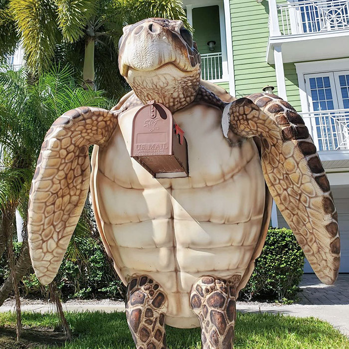 Save The Sea Turtle Mailboxes Have Arrived