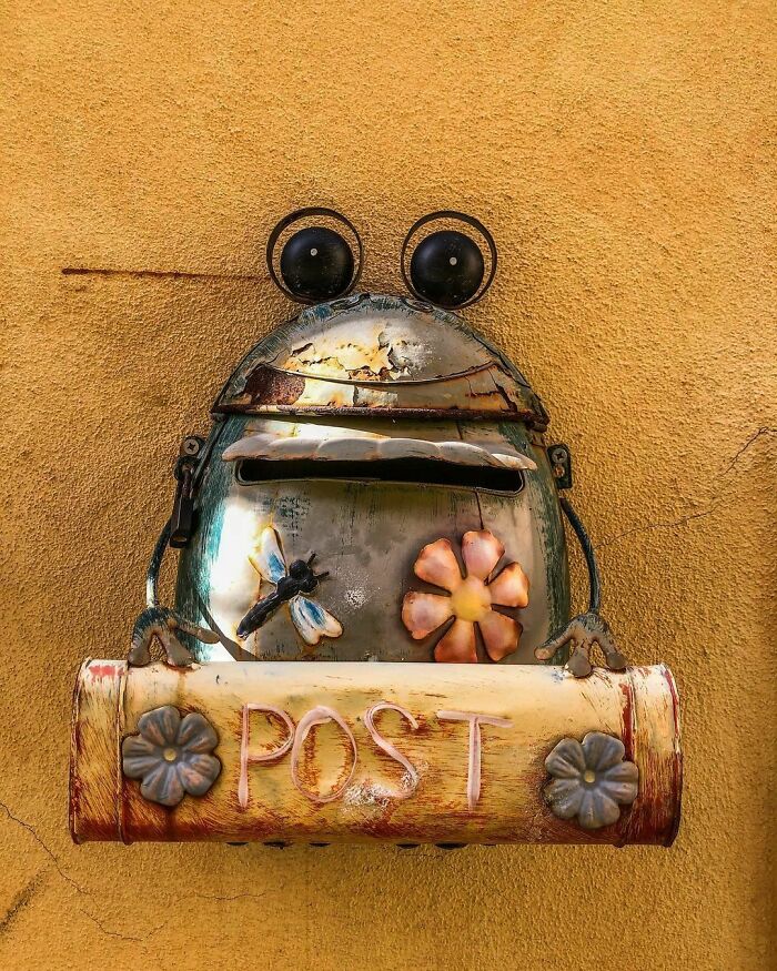 The Frog Mailbox Hops Into View