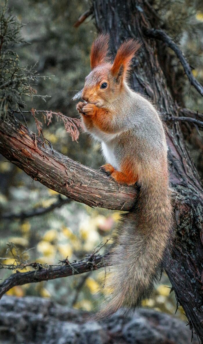 Let’s Peek Inside The ER Inbox: Wild Reasons People Rush To ER (But Shouldn’t!)