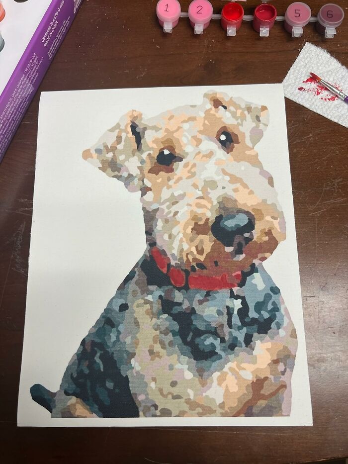 Paint Your Pet’s Wild Side with a Custom Paint-By-Number Portrait