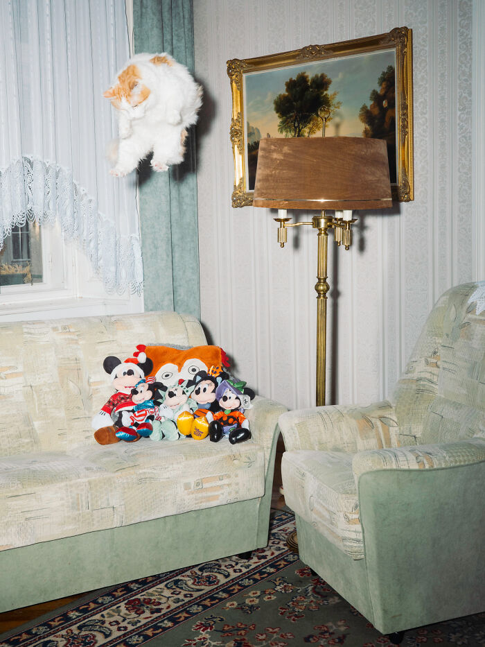 Cats Who Just Can't Stay on the Ground (7 Pics)