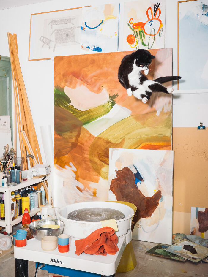 Cats Who Just Can't Stay on the Ground (7 Pics)